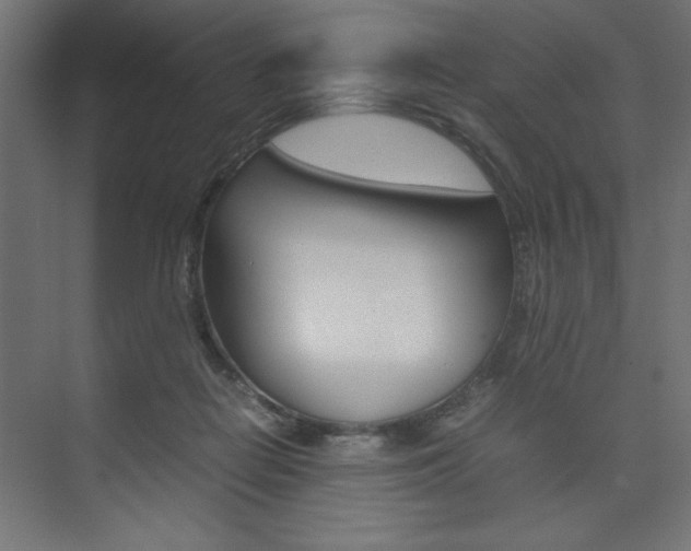 X0000074030266200608211144