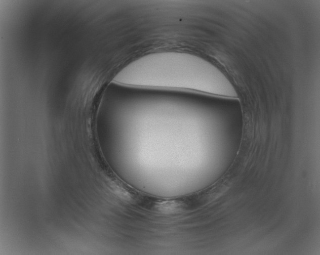 X0000074030269200608211144