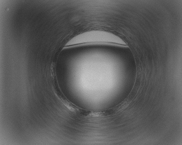 X0000074030280200608211144