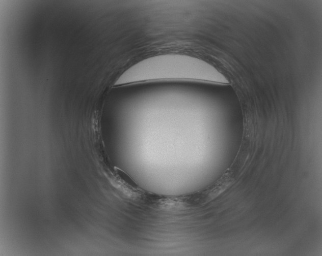 X0000074030284200608211144