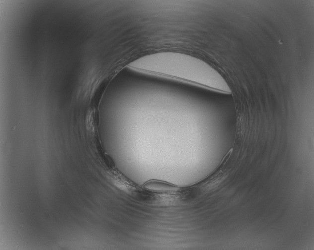 X0000074030286200608211144