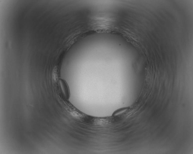 X0000074030287200608211144