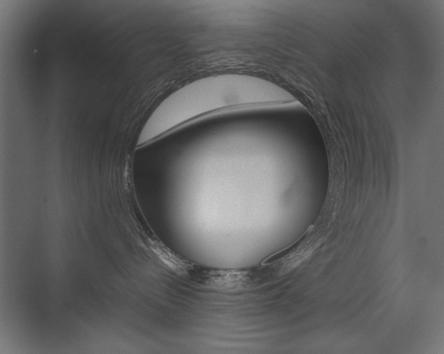 X0000074030288200608211144