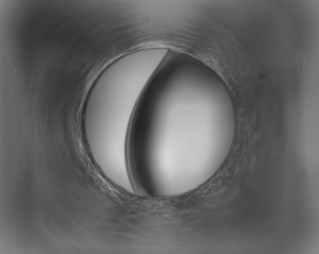 X0000074030289200608211143