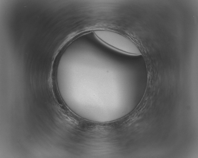 X0000074030292200608211143