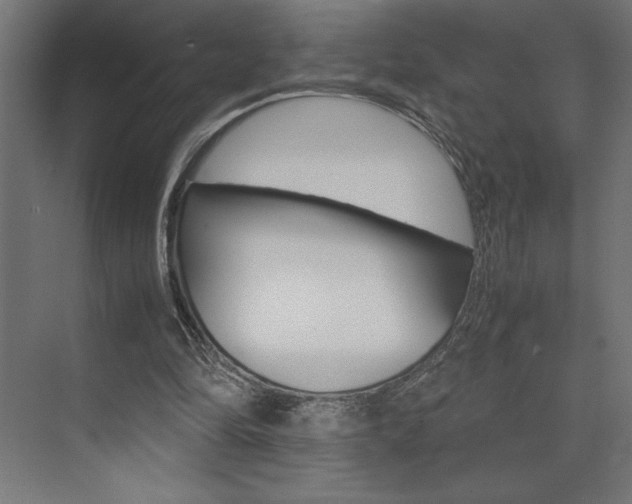 X0000074030294200608211143