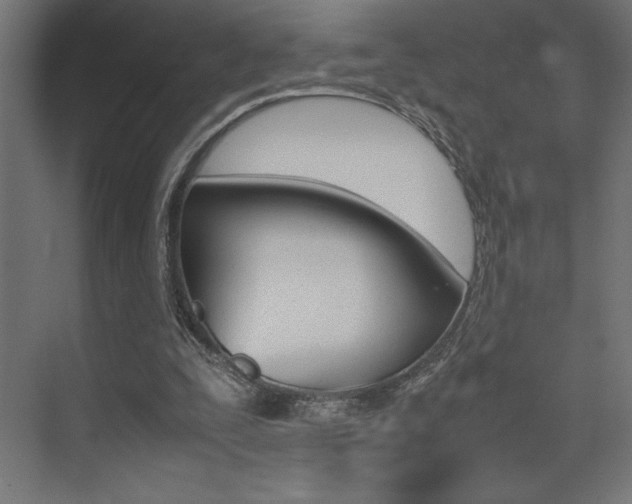 X0000074030295200608211143