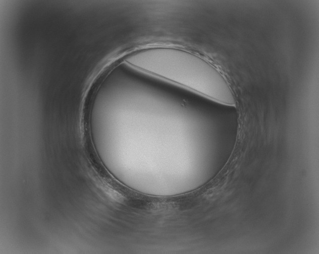 X0000074030296200608211143