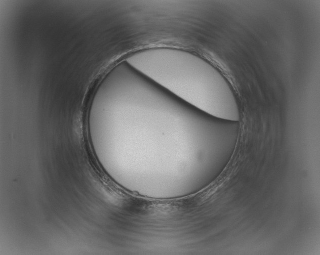 X0000074030298200608211143