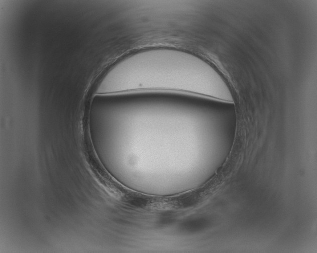 X0000074030299200608211143