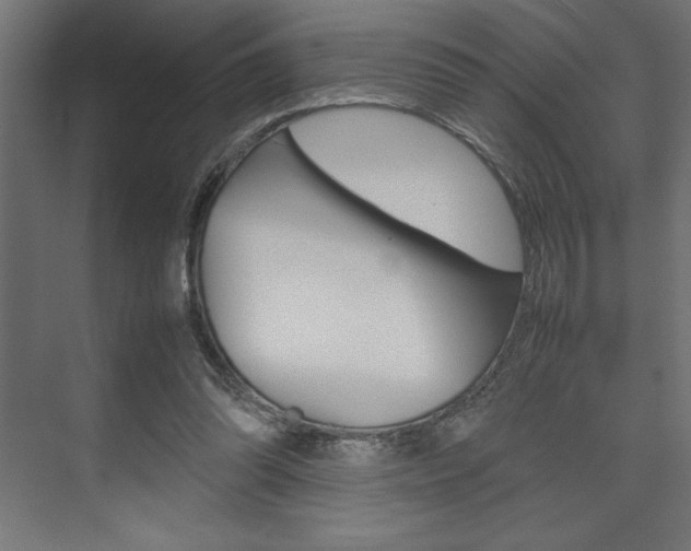 X0000074030302200608211143