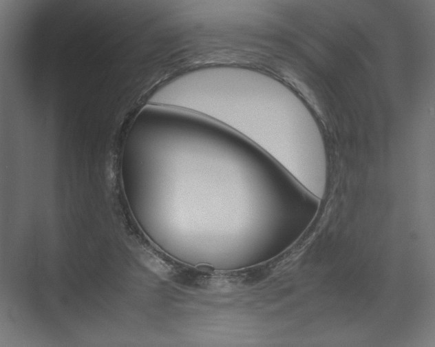 X0000074030305200608211143
