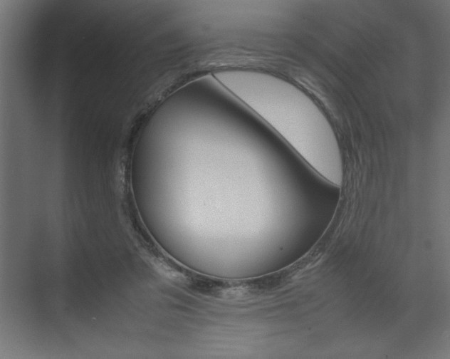 X0000074030309200608211143