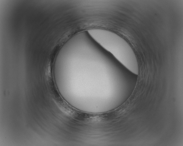 X0000074030310200608211143