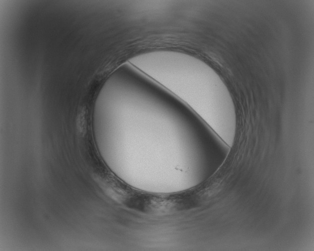 X0000074030311200608211143