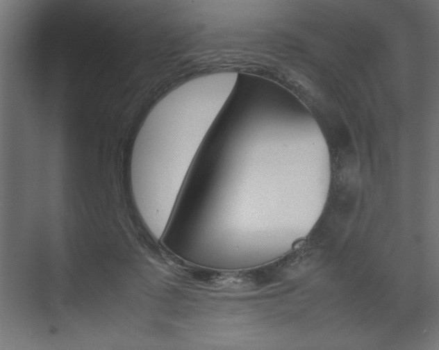 X0000074030315200608211143