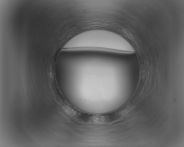X0000074030317200608211143