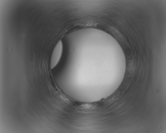 X0000074030326200608211143