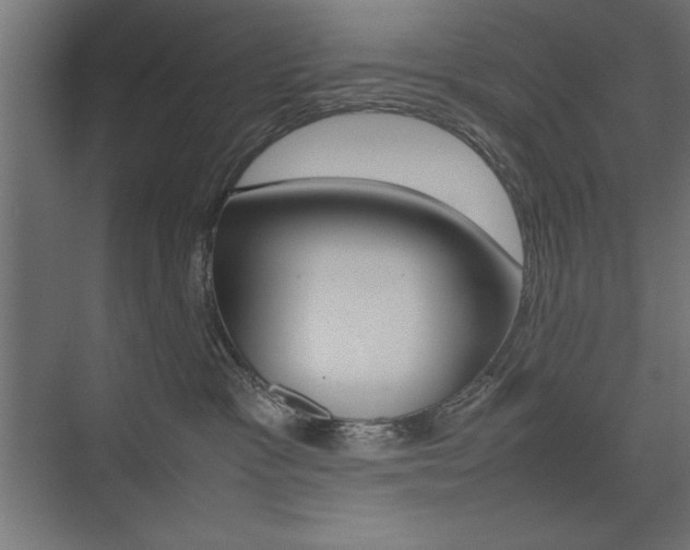 X0000074030333200608211143