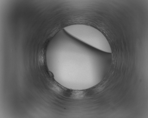 X0000074030334200608211143