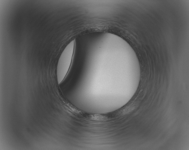 X0000074030336200608211142