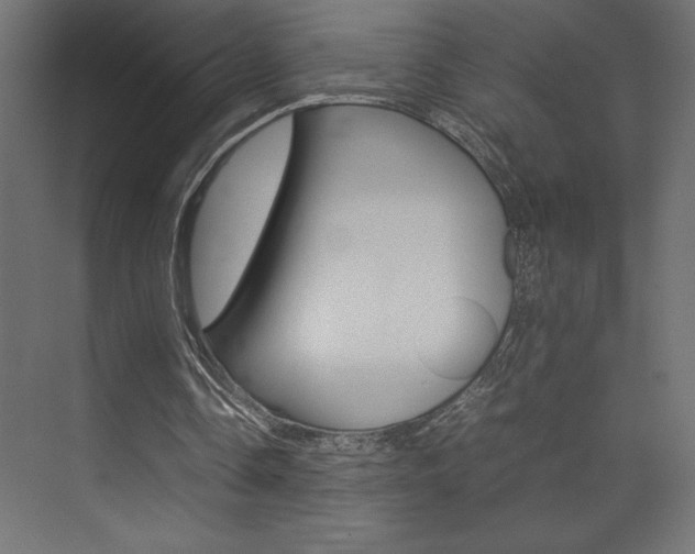 X0000074030338200608211142