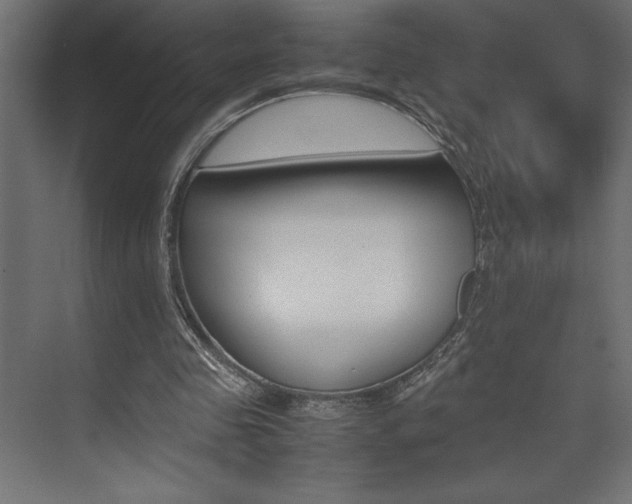 X0000074030341200608211142
