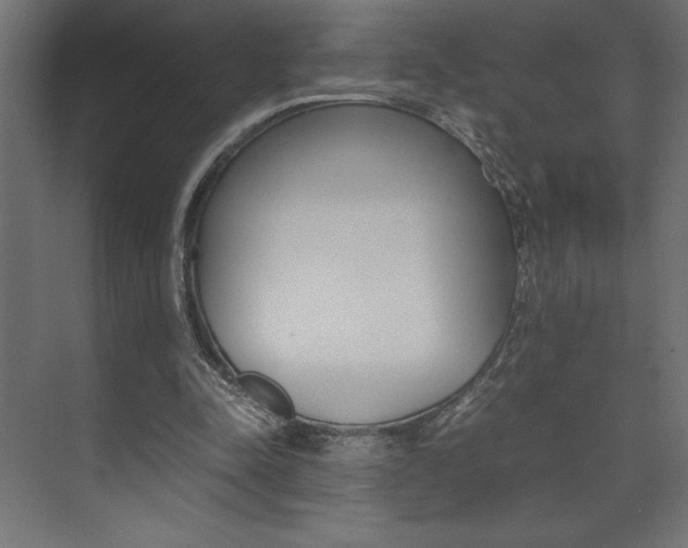 X0000074030342200608211142