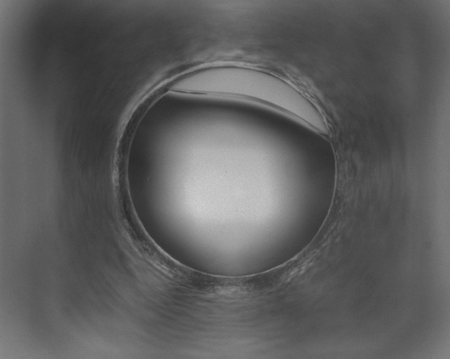 X0000074030344200608211142