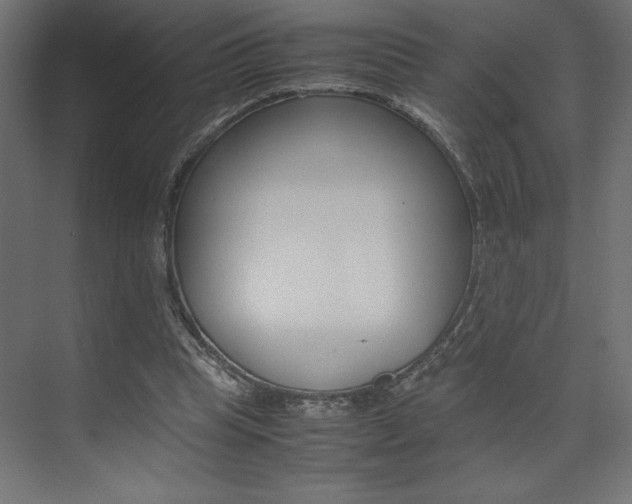 X0000074030345200608211142