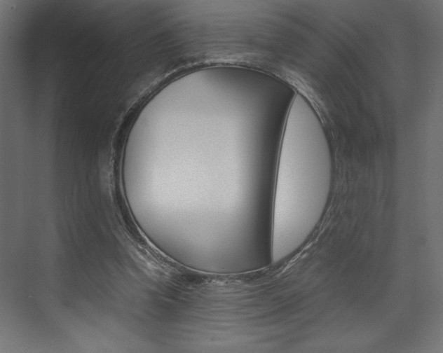 X0000074030346200608211142