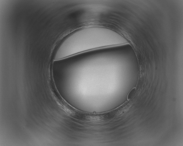 X0000074030349200608211142