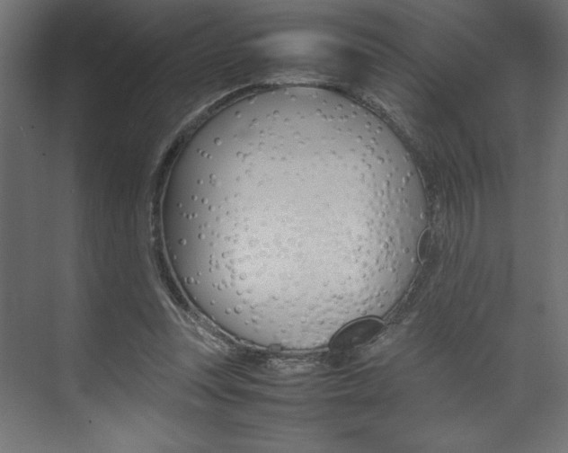 X0000074030351200608211142