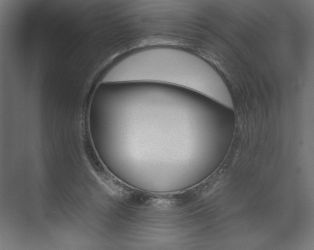 X0000074030352200608211142