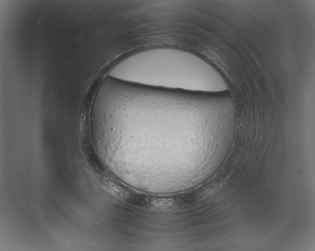 X0000074030355200608211142