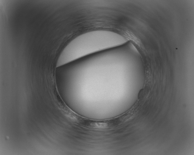 X0000074030361200608211142