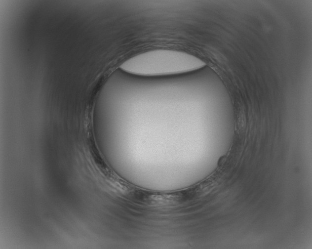 X0000074030367200608211142
