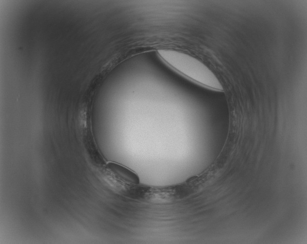 X0000074030368200608211142