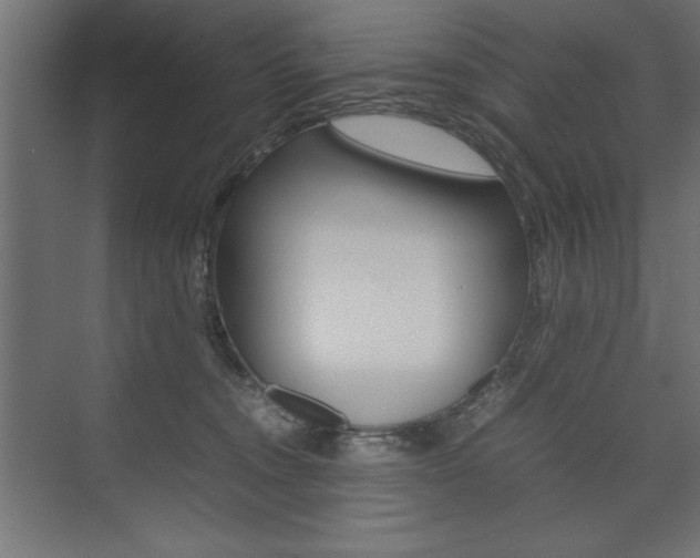 X0000074030372200608211142
