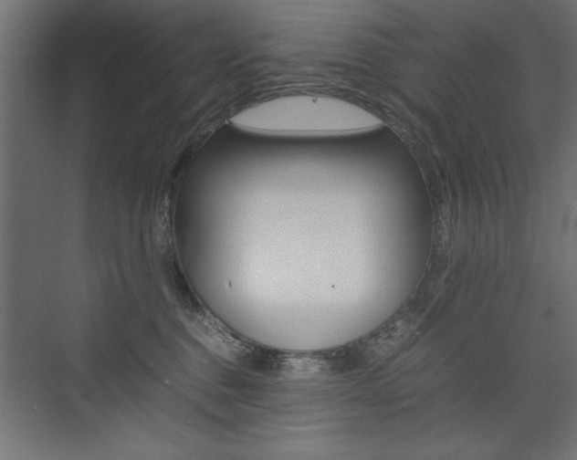 X0000074030376200608211142