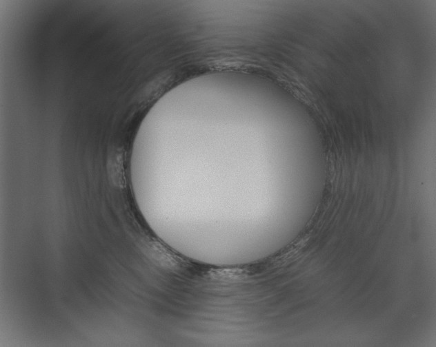 X0000074030378200608211142