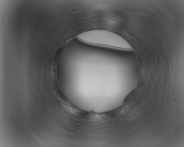 X0000074030379200608211142