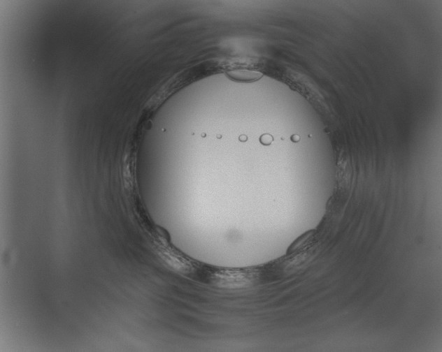 X0000074030381200608211142