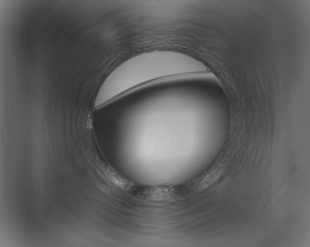 X0000074030384200608211142