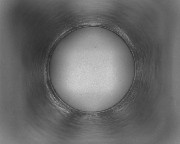 X0000074030386200608211142