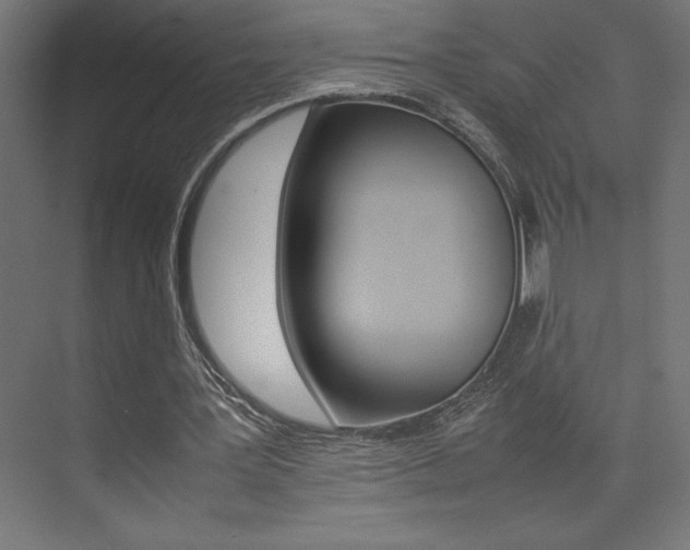 X0000074030387200608211142