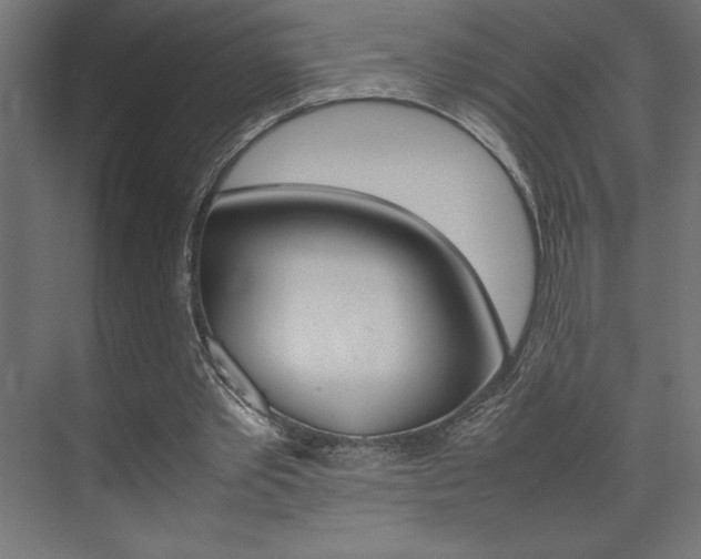 X0000074030389200608211142