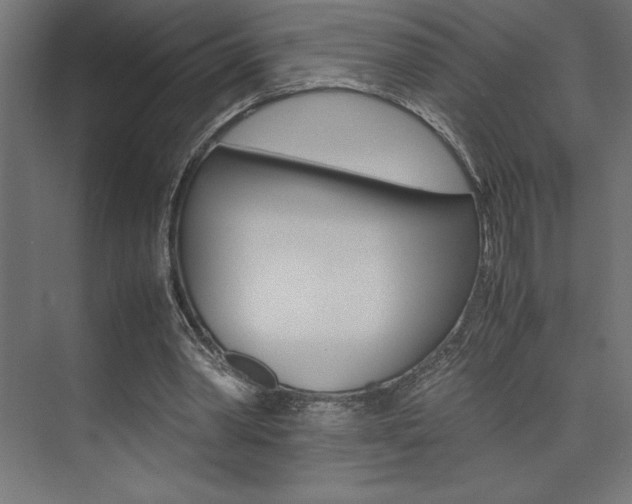 X0000074030390200608211142