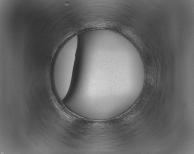 X0000074030394200608211141