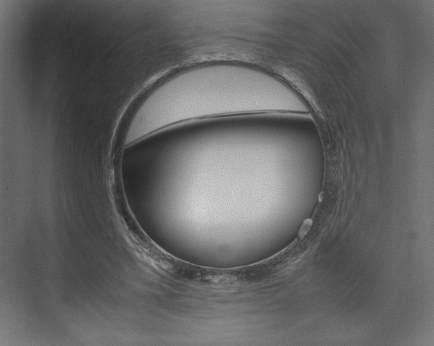 X0000074030395200608211141